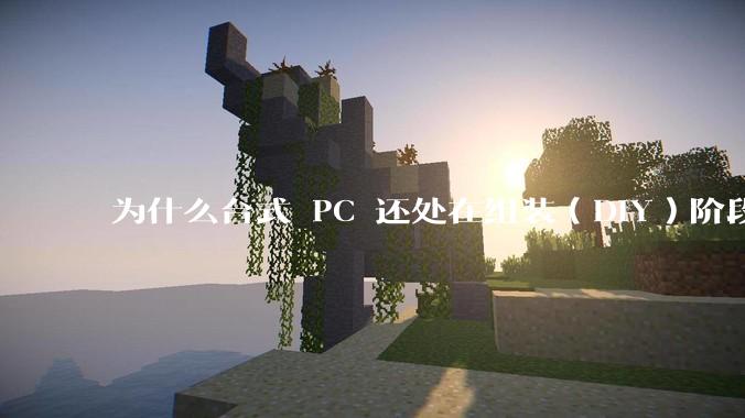 为什么台式 PC 还处在组装（DIY）阶段？