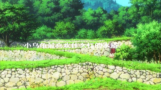 小乌龟最喜欢什么样的水质？