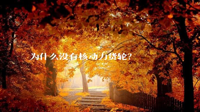为什么没有核动力货轮？