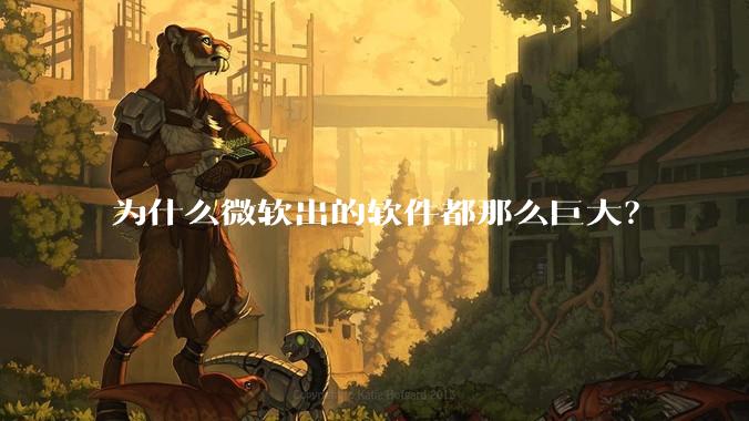 为什么微软出的软件都那么巨大？