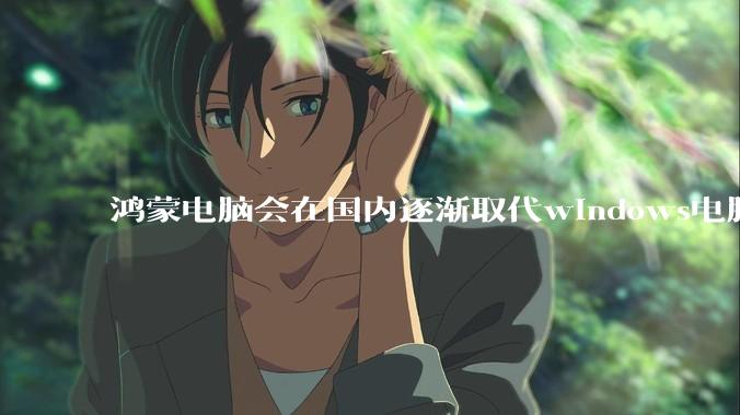 鸿蒙电脑会在国内逐渐取代windows电脑吗？