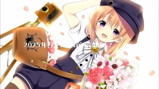 2025年了 Rust前景如何?