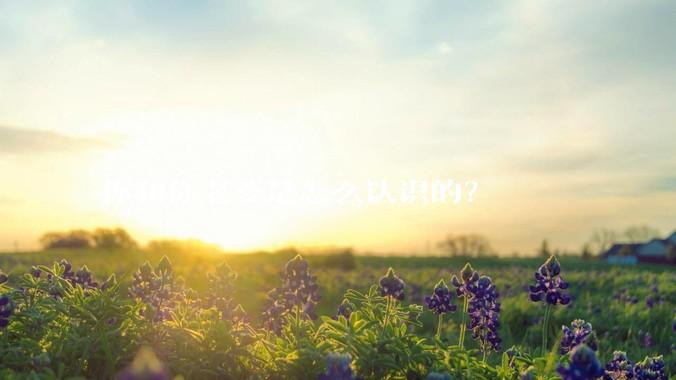 你和你老婆是怎么认识的？