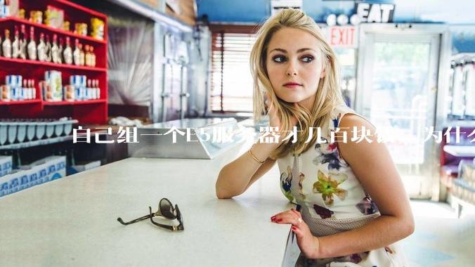 自己组一个E5服务器才几百块钱，为什么去阿里云租这么贵?