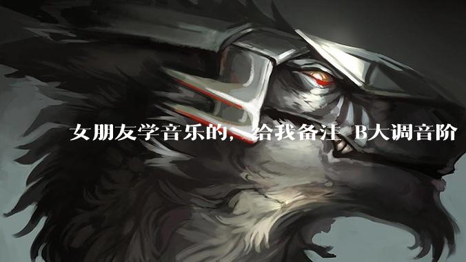 女朋友学音乐的，给我备注 B大调音阶 是什么含义呢？