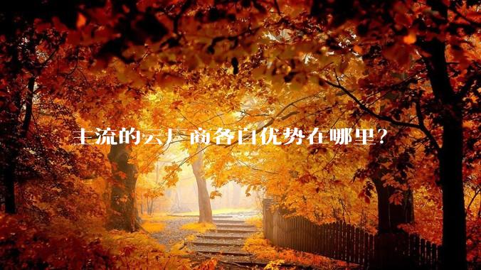 主流的云厂商各自优势在哪里？